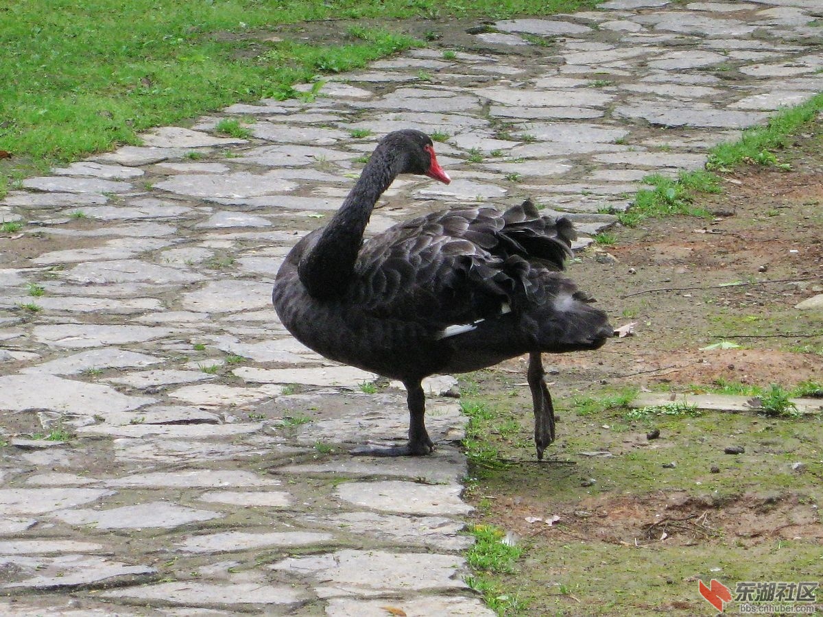 nEO_IMG_IMG_2253.jpg