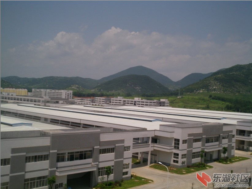 湖北阳新宝加鞋业有限公司5.jpg