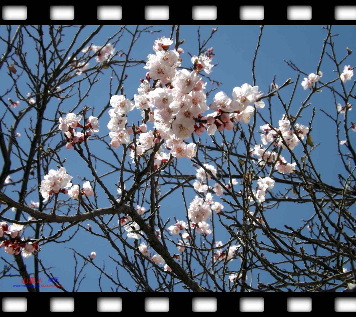 DSCF1848.jpg