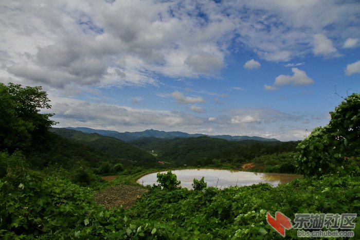 _MG_8828.jpg