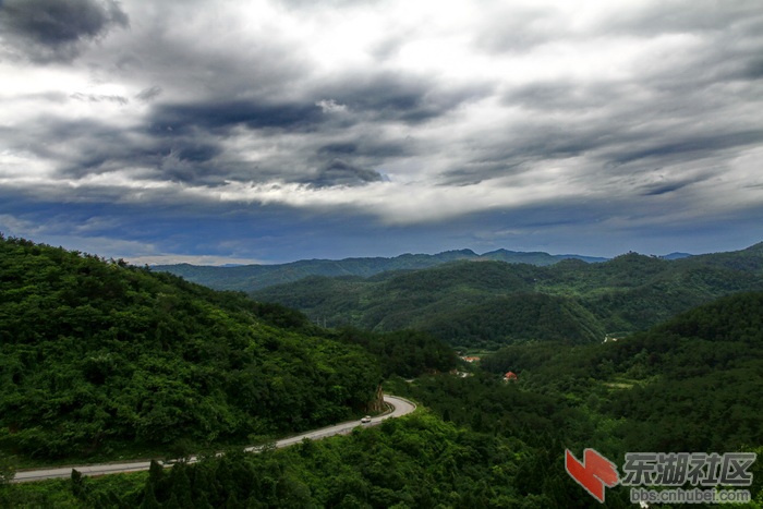 _MG_8842.jpg