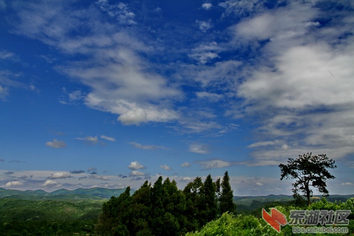 _MG_8825.jpg