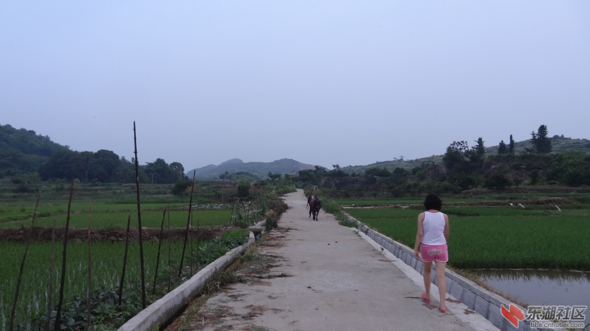 DSC08662 (1).JPG