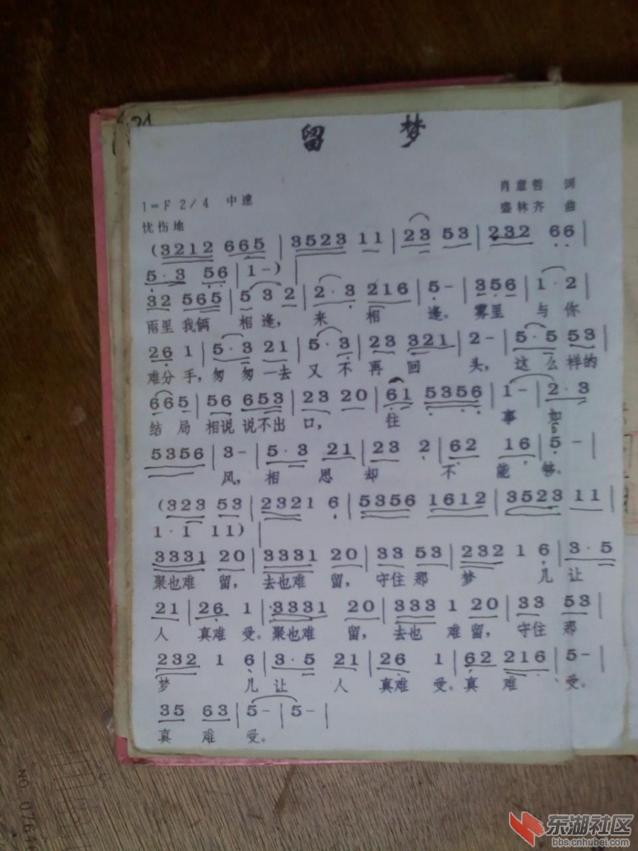 照相130529_002.JPG