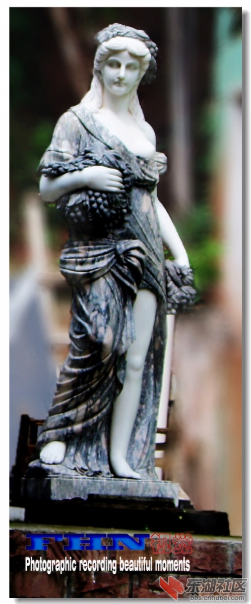 DSC01042a.jpg