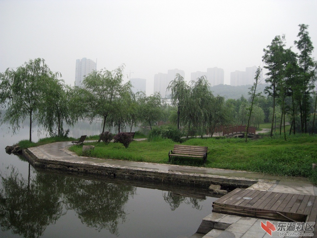 IMG_0627.jpg