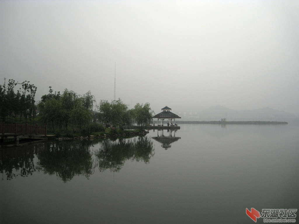 IMG_0652.jpg