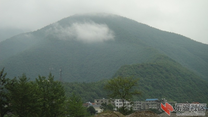 DSC01902.jpg