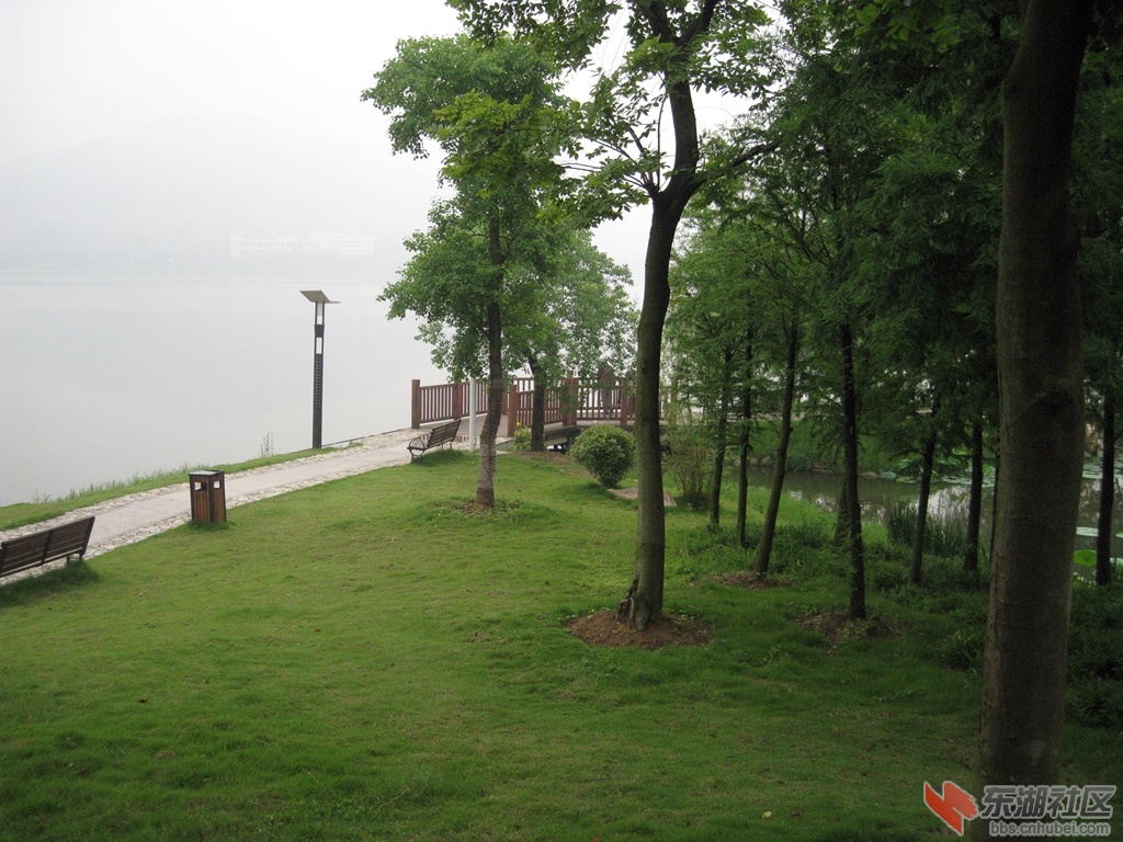 IMG_0689.jpg