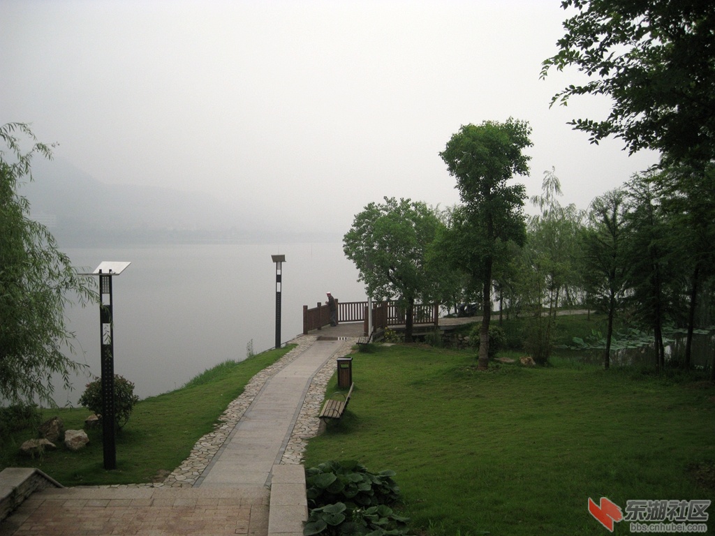 IMG_0690.jpg