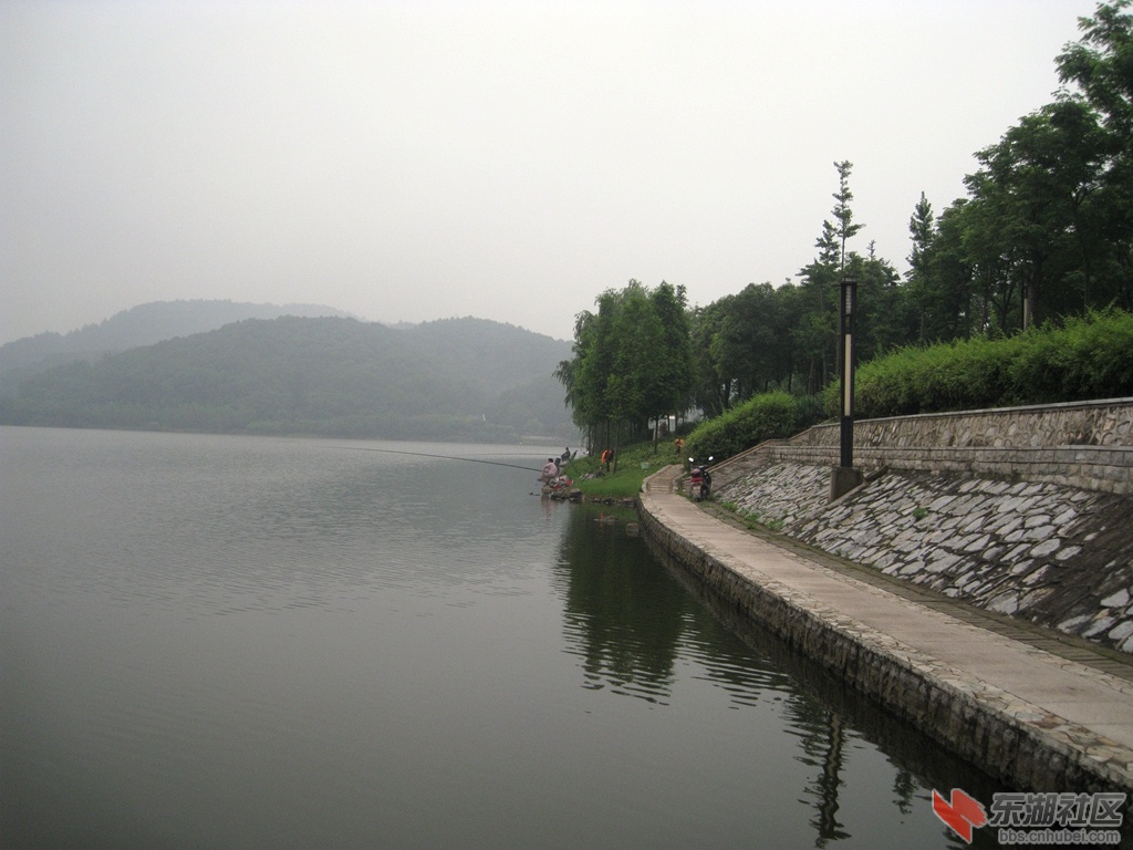 IMG_0703.jpg