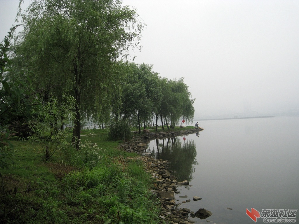 IMG_0716.jpg