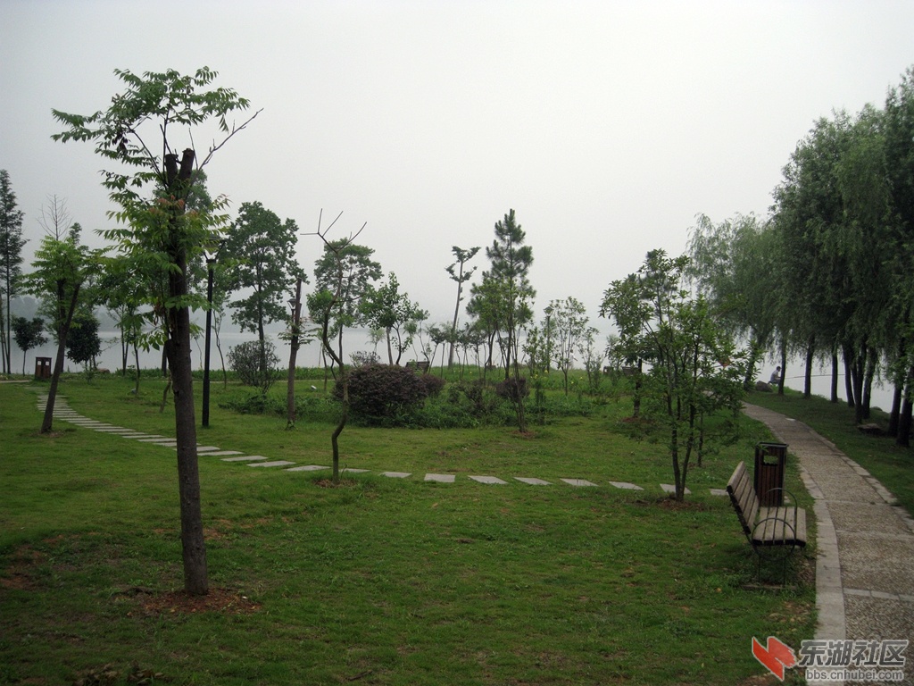 IMG_0721.jpg