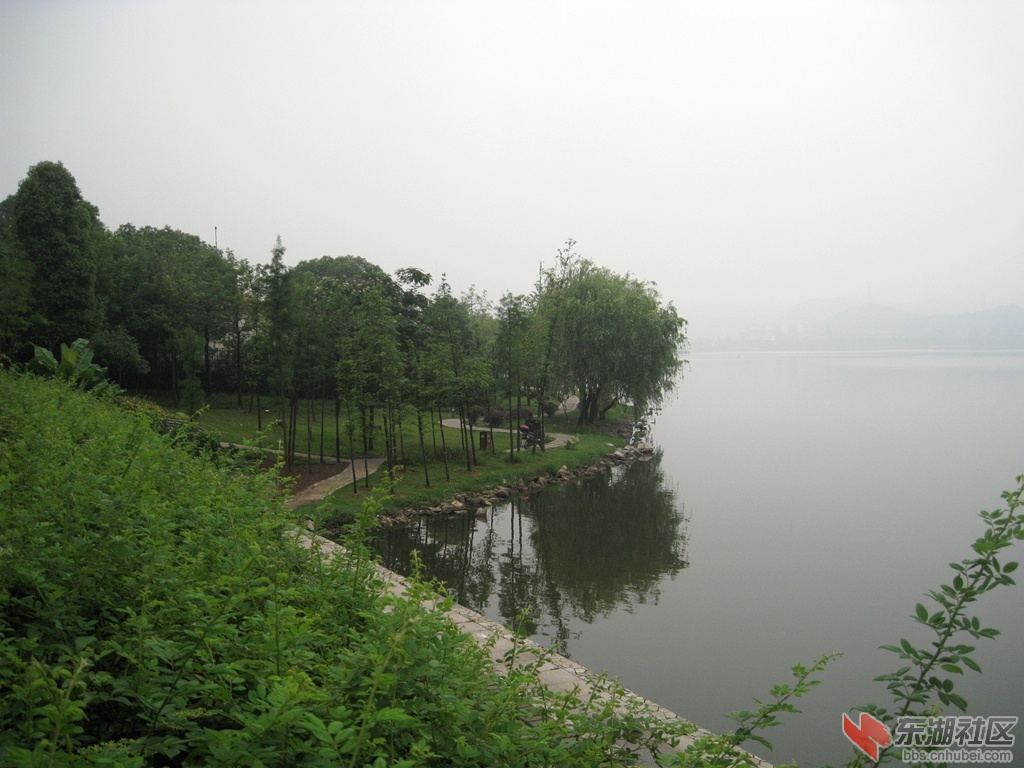 IMG_0741.jpg