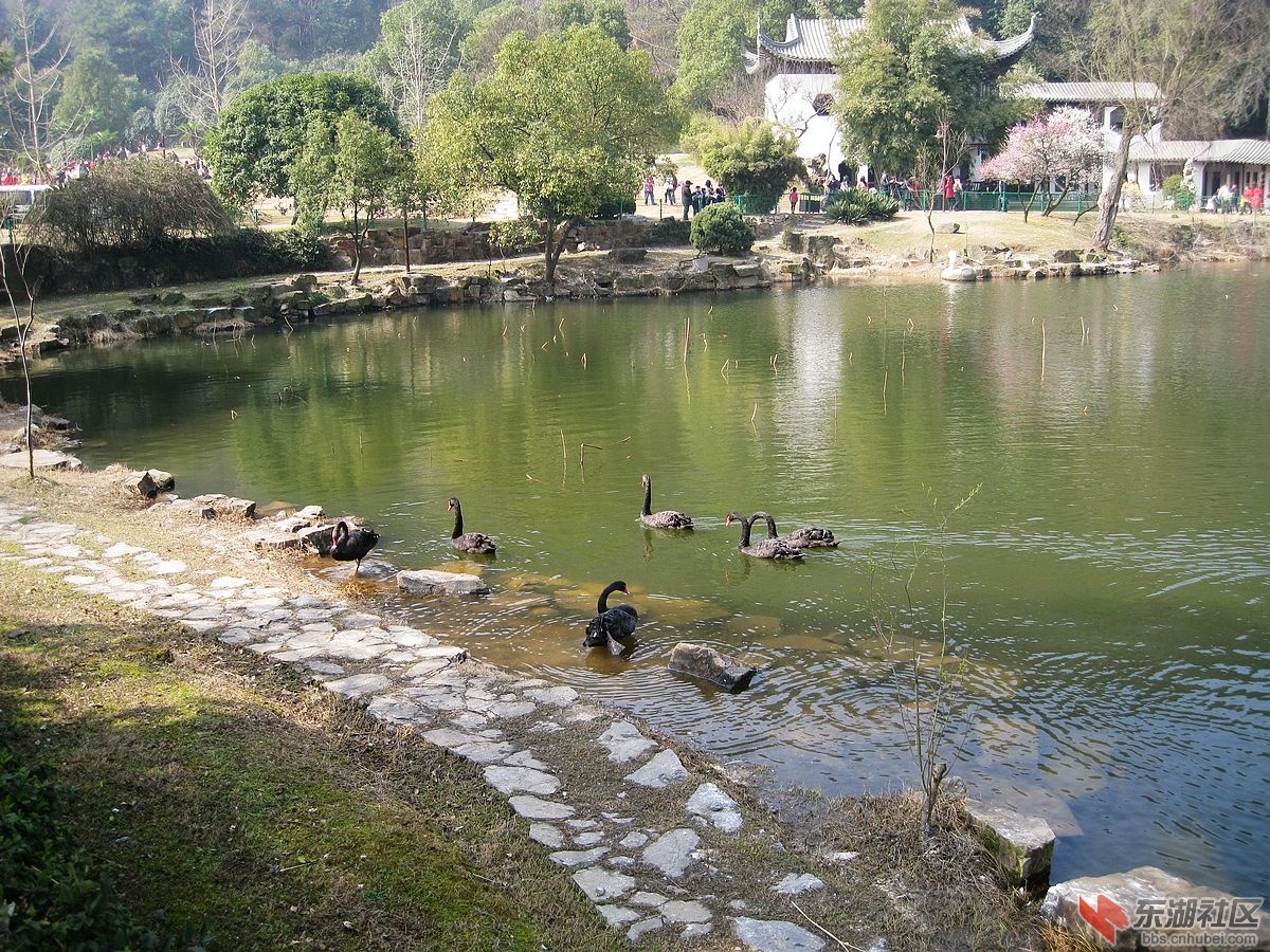nEO_IMG_IMG_1832.jpg