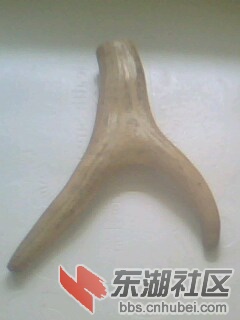 IMG0050A.jpg
