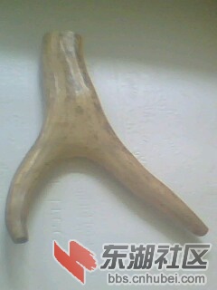 IMG0051A.jpg
