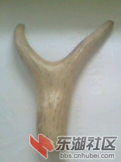 IMG0053A.jpg