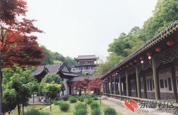 20110529230917625.jpg