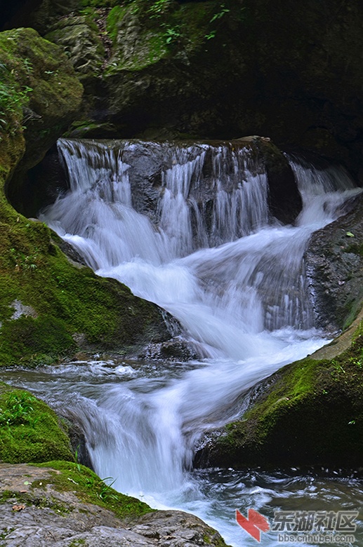DSC_6761.JPG