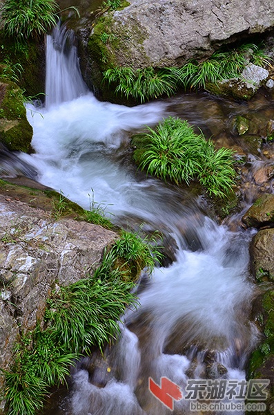 DSC_6771.JPG