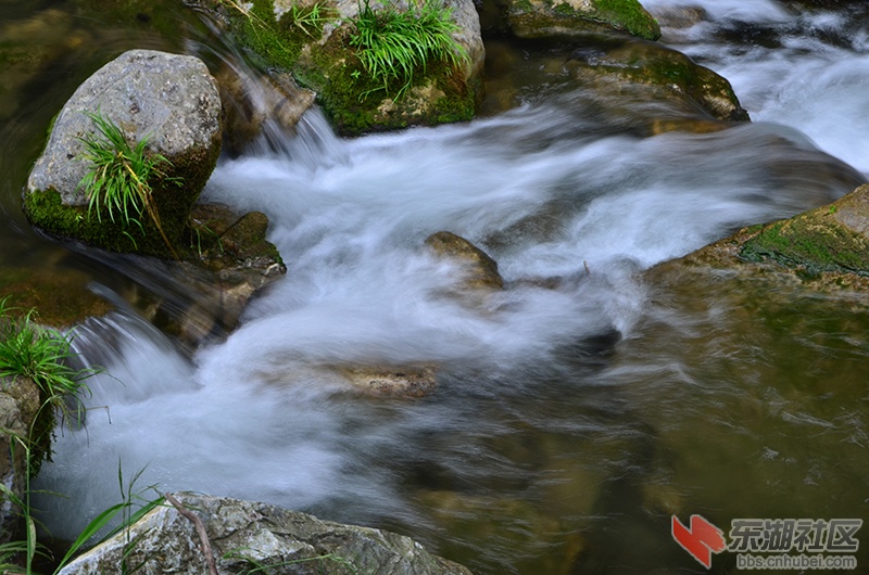 DSC_6767.JPG