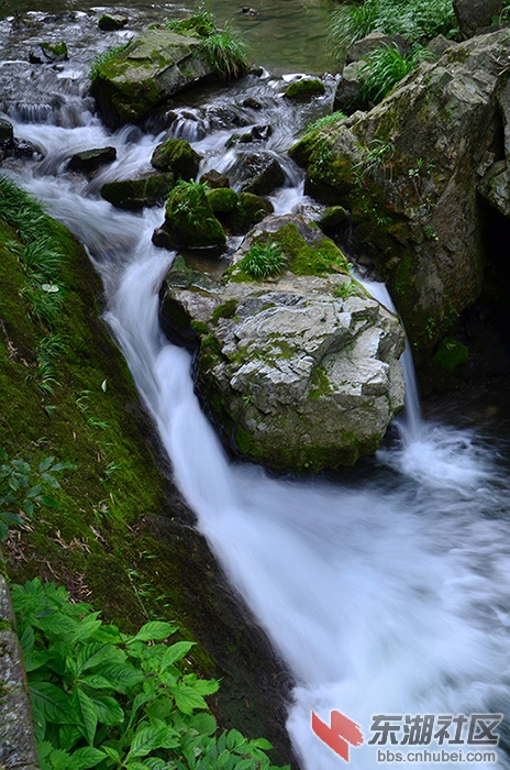 DSC_6773.JPG