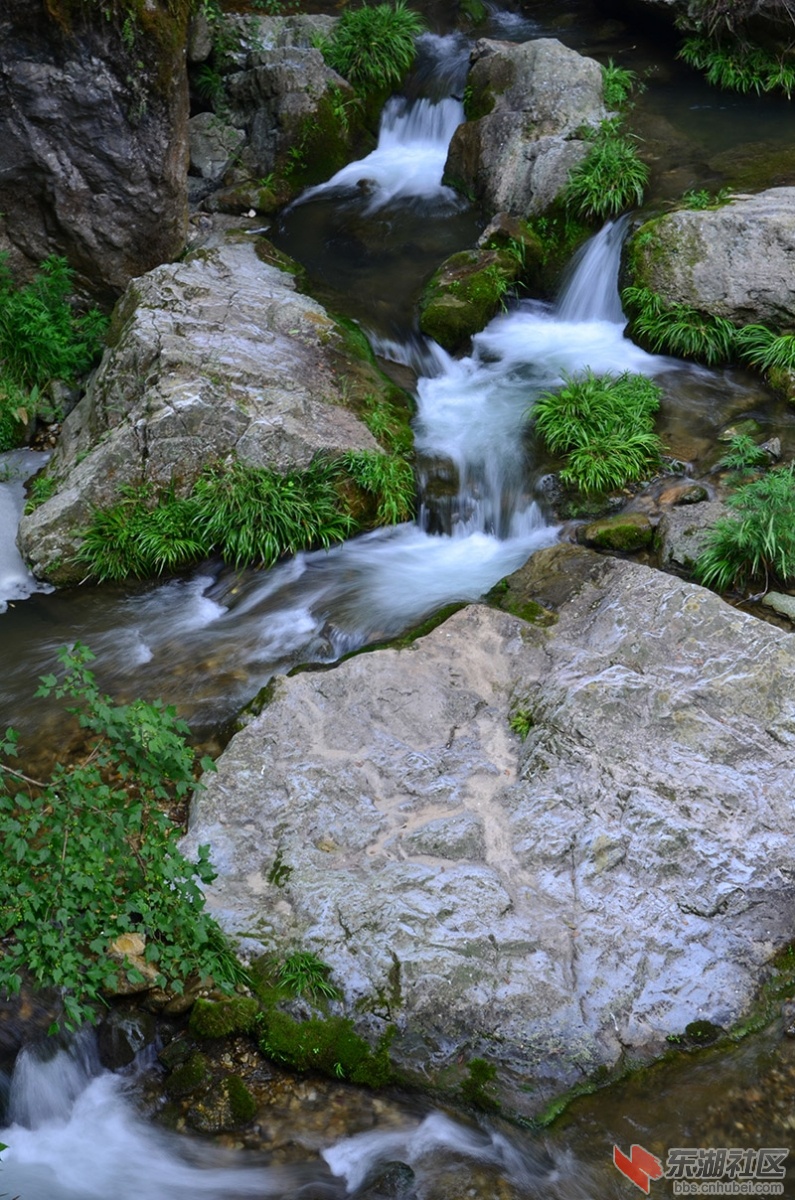 DSC_6772.JPG
