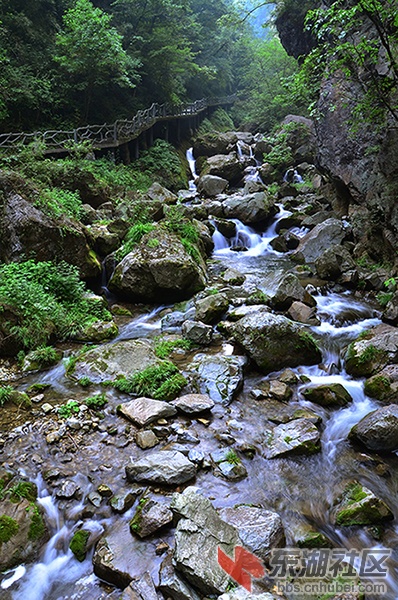 DSC_6780.JPG