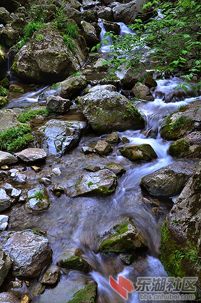 DSC_6781.JPG