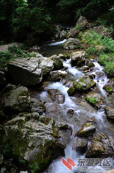 DSC_6818.JPG