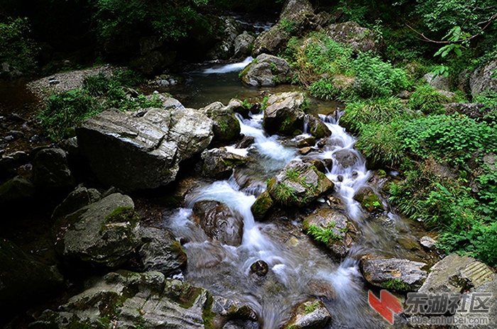 DSC_6817.JPG