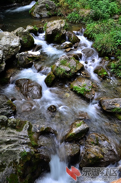 DSC_6819.JPG