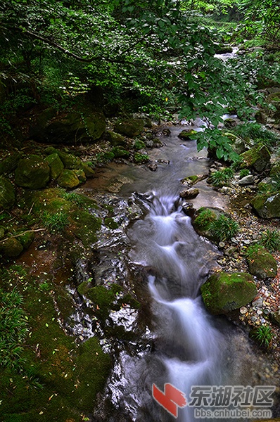 DSC_6831.JPG