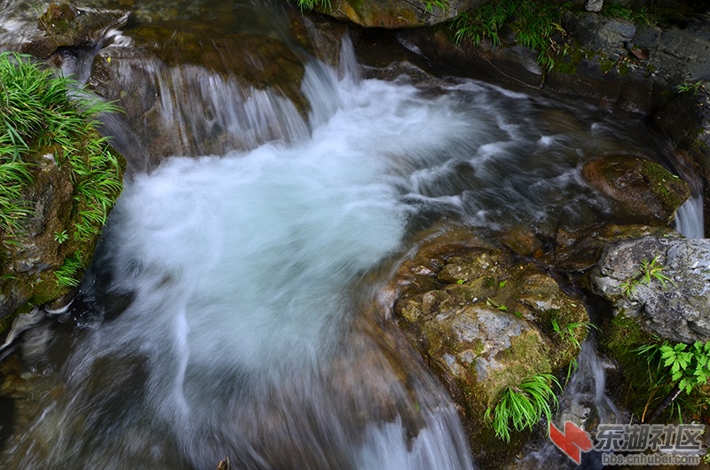 DSC_6834.JPG