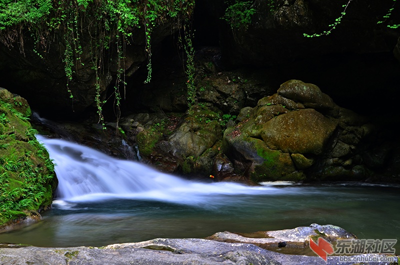 DSC_6847.JPG