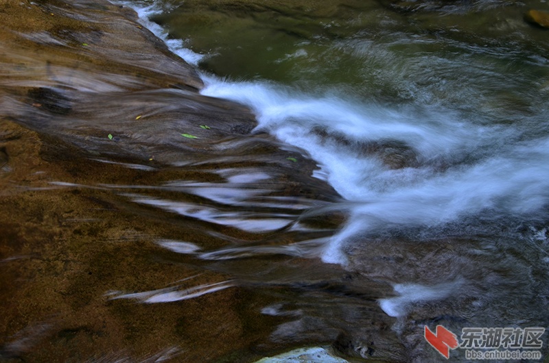 DSC_6857.JPG