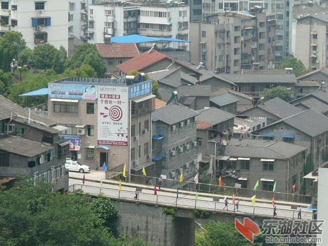 P2040659.JPG