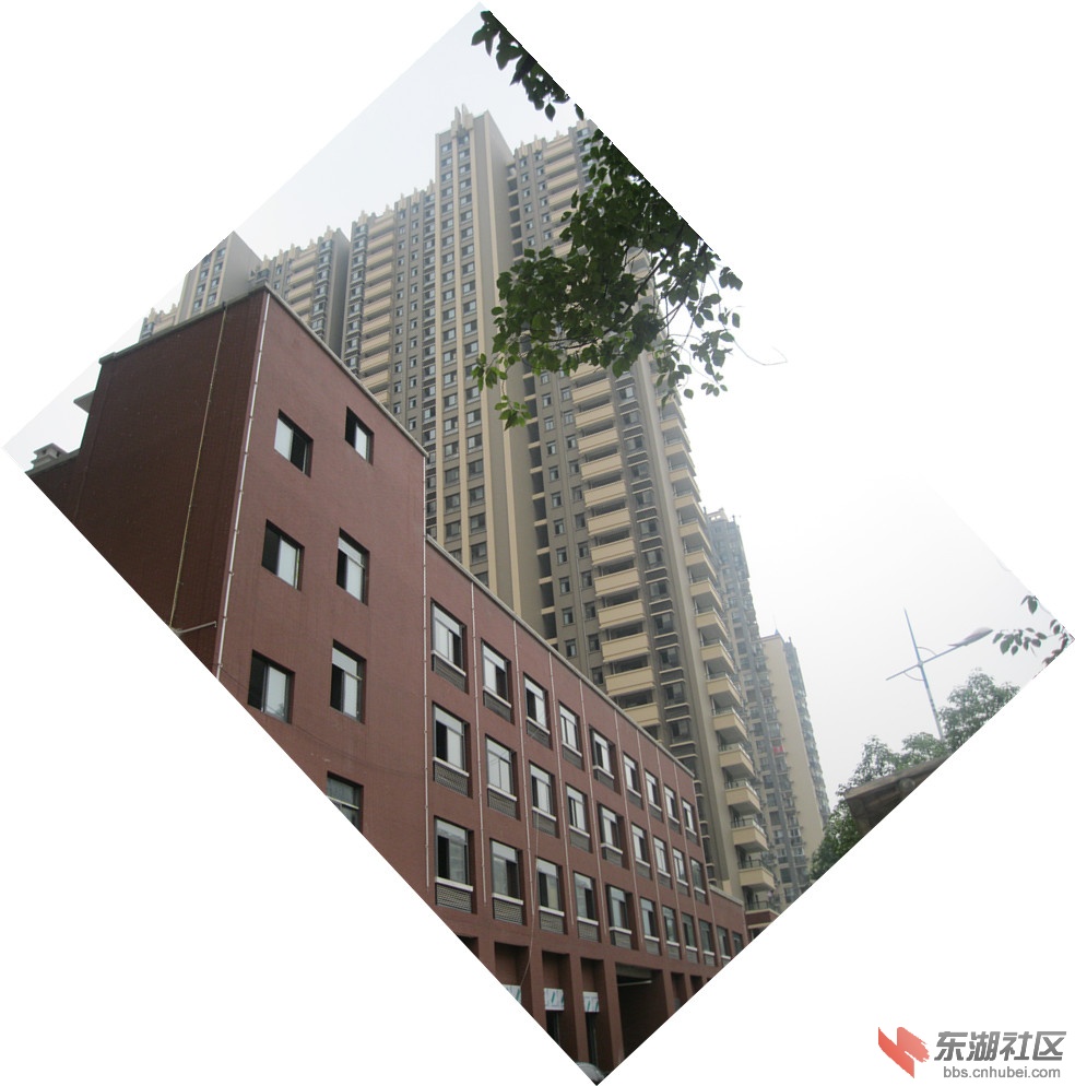IMG_1300_副本.jpg