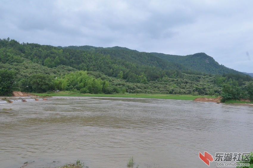 DSC_0018_conew1.jpg
