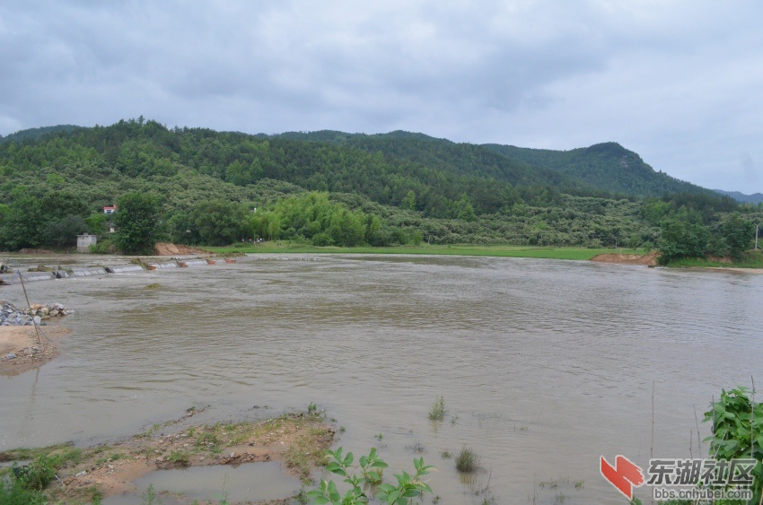 DSC_0019_conew1.jpg