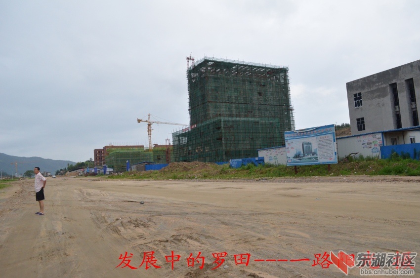 DSC_0027_conew1.jpg