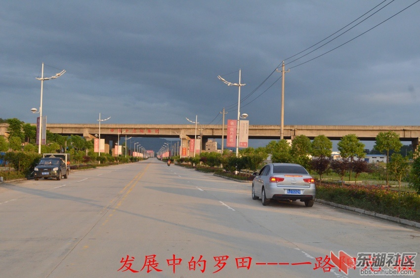 DSC_0029_conew1.jpg