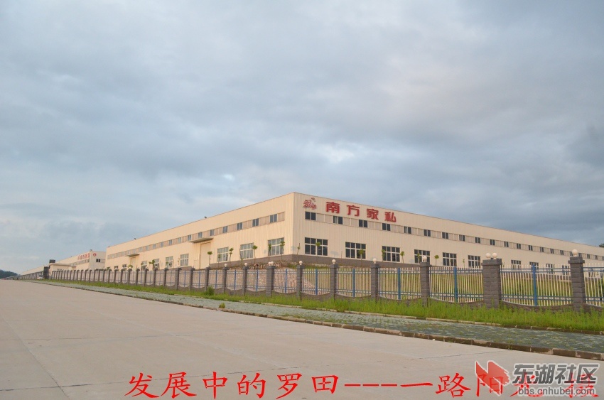 DSC_0030_conew1.jpg