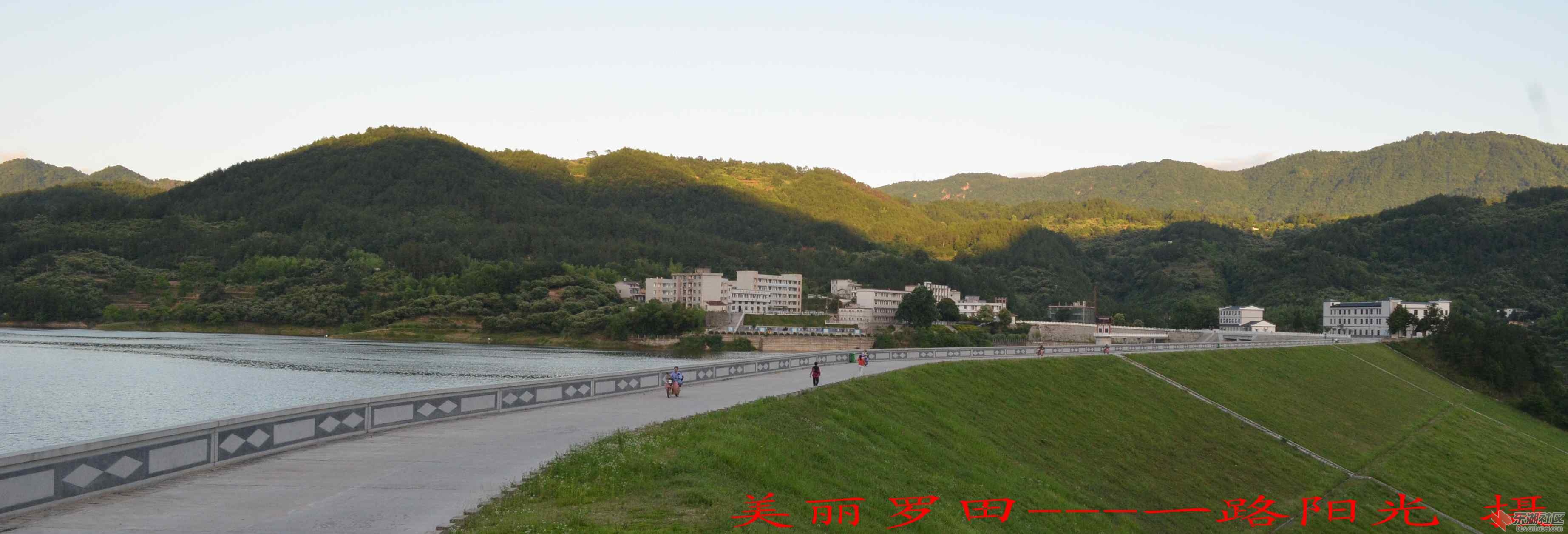 DSC_0036_conew1.jpg