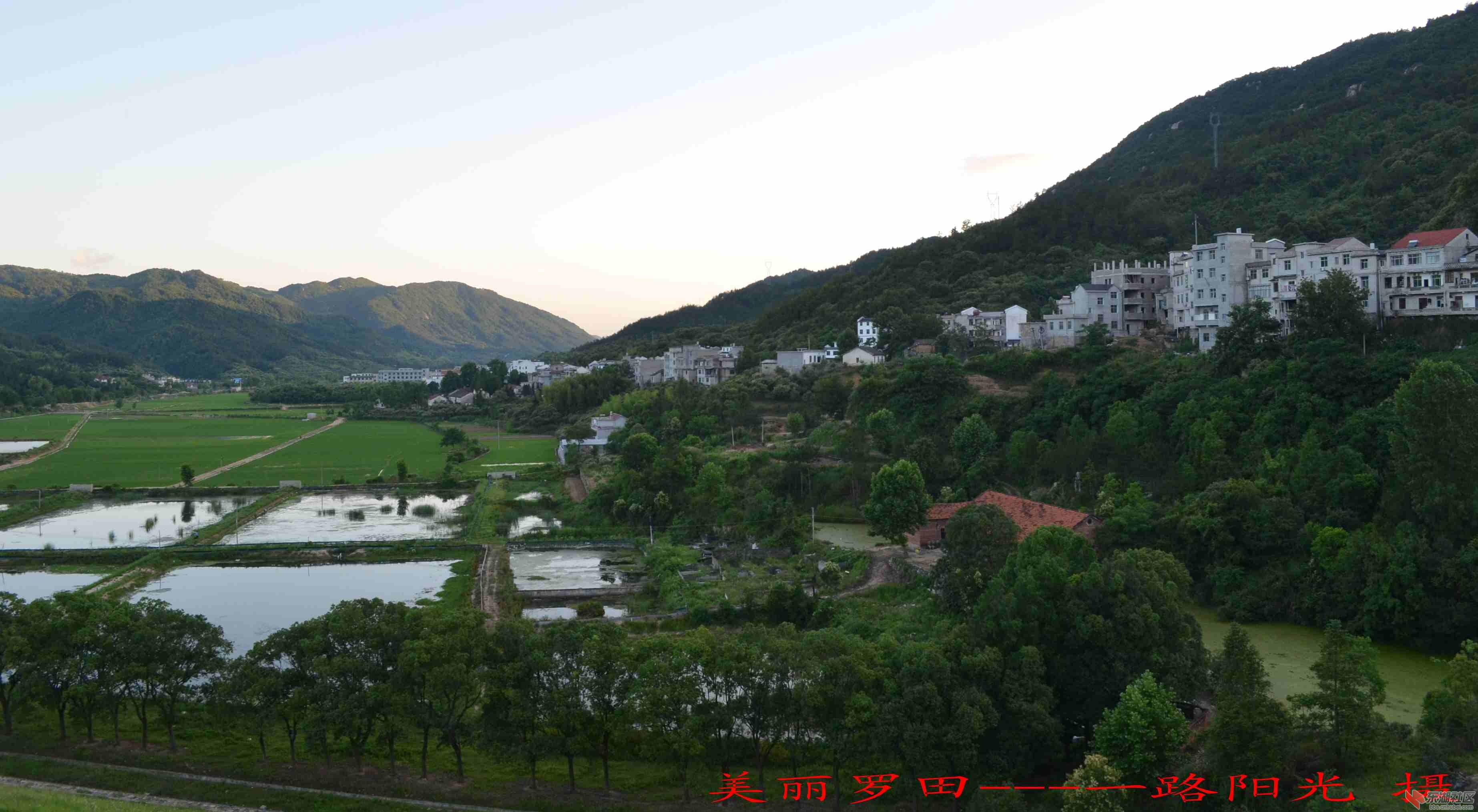 DSC_0041_conew1.jpg