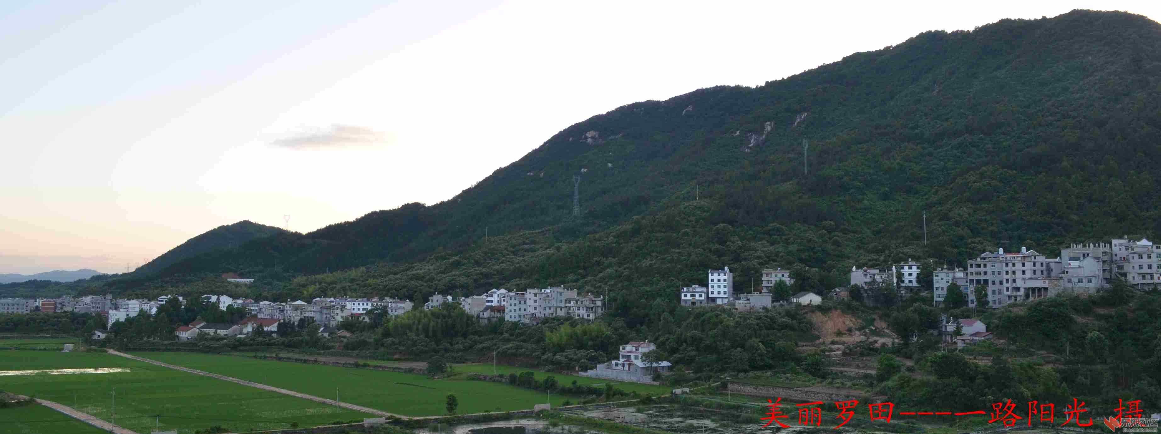 DSC_0046_conew1.jpg