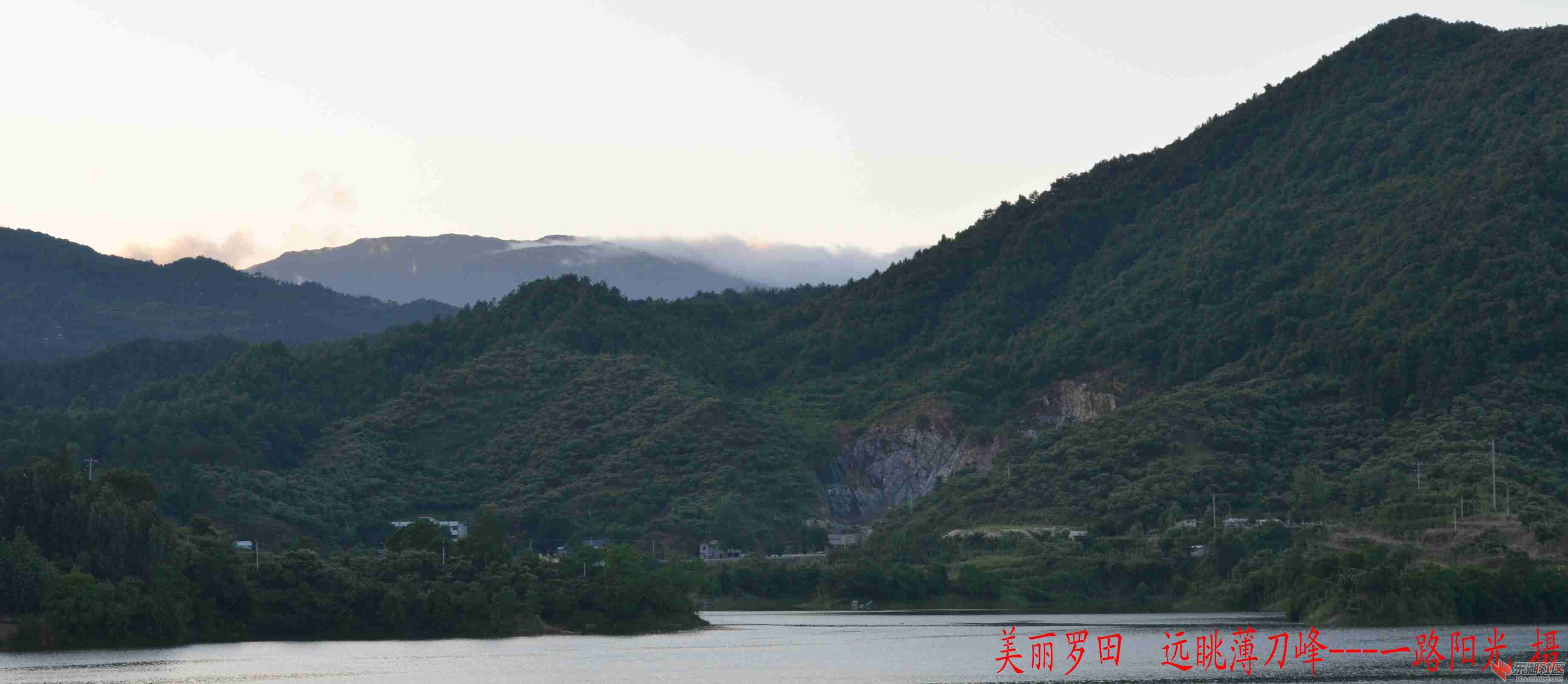 DSC_0049_conew1.jpg