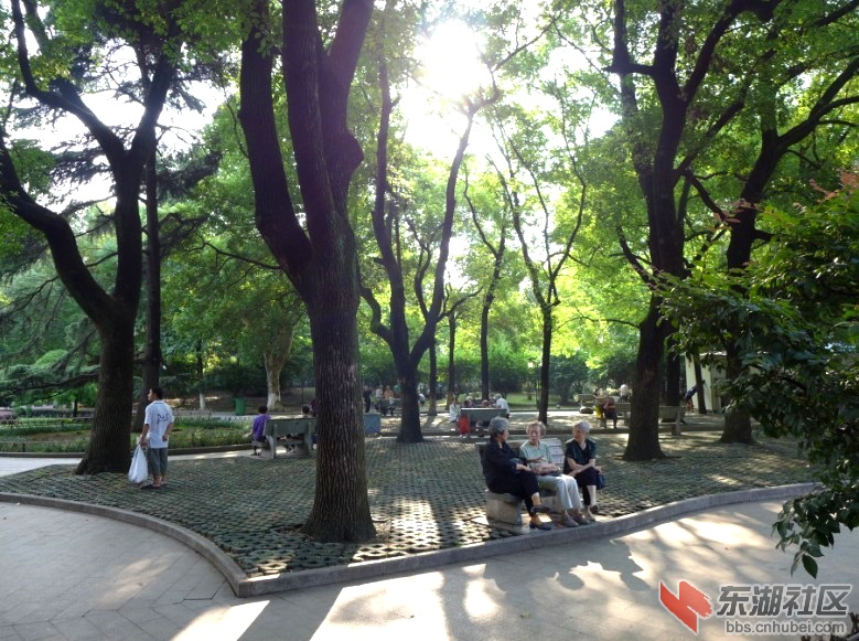 QQ图片20130608222449.jpg