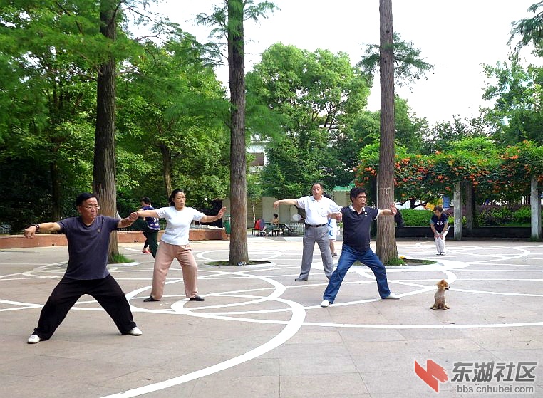 QQ图片20130608222817.jpg